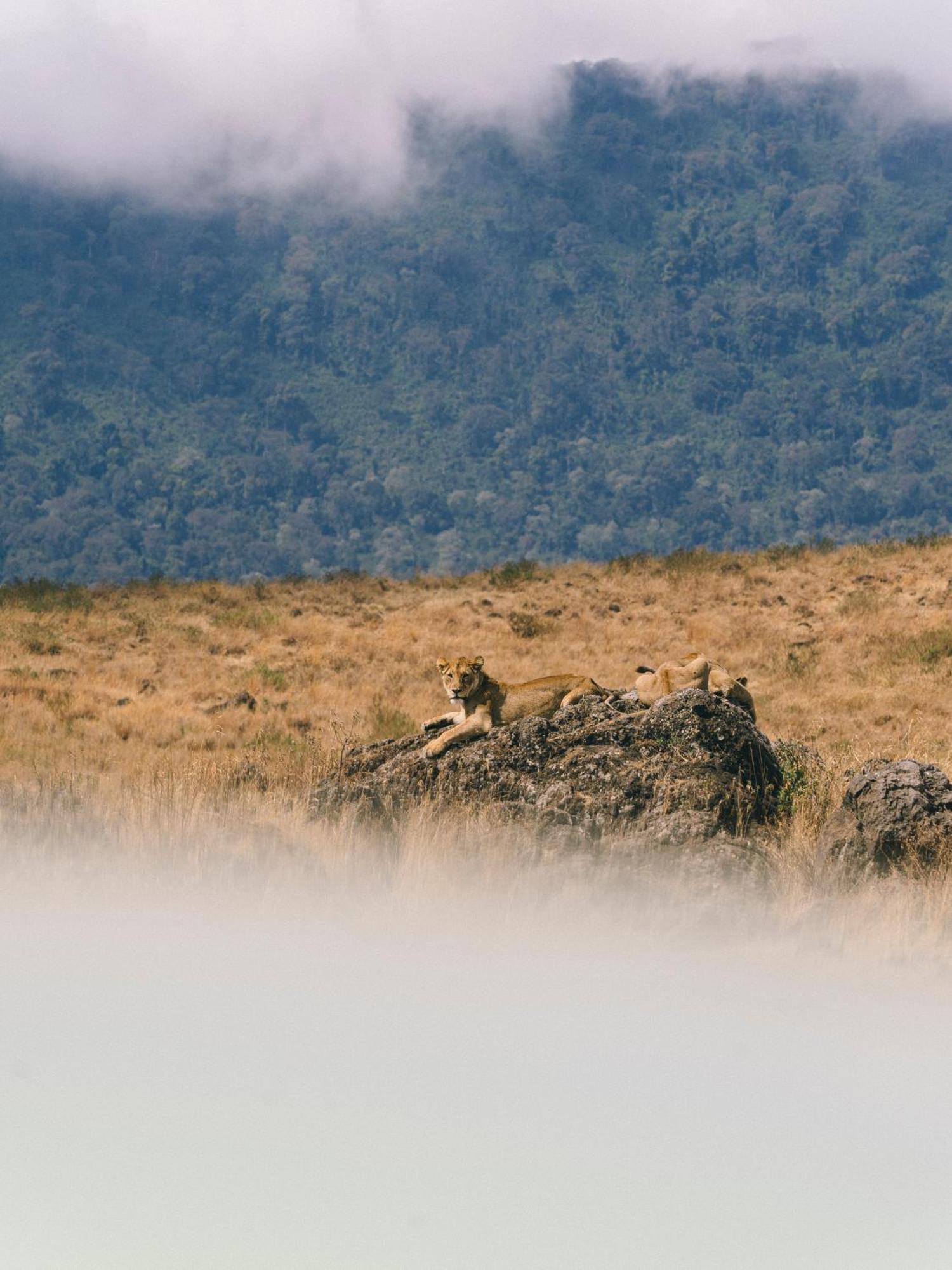 Ngorongoro Lodge Member Of Melia Collection - The Leading Hotels Of The World Buitenkant foto