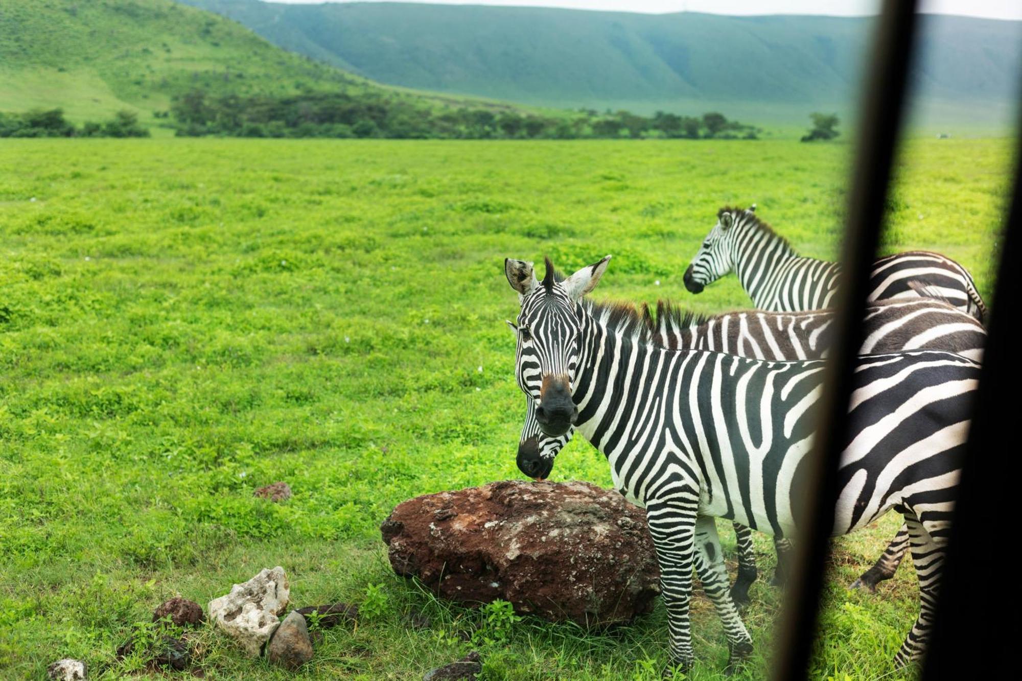 Ngorongoro Lodge Member Of Melia Collection - The Leading Hotels Of The World Buitenkant foto
