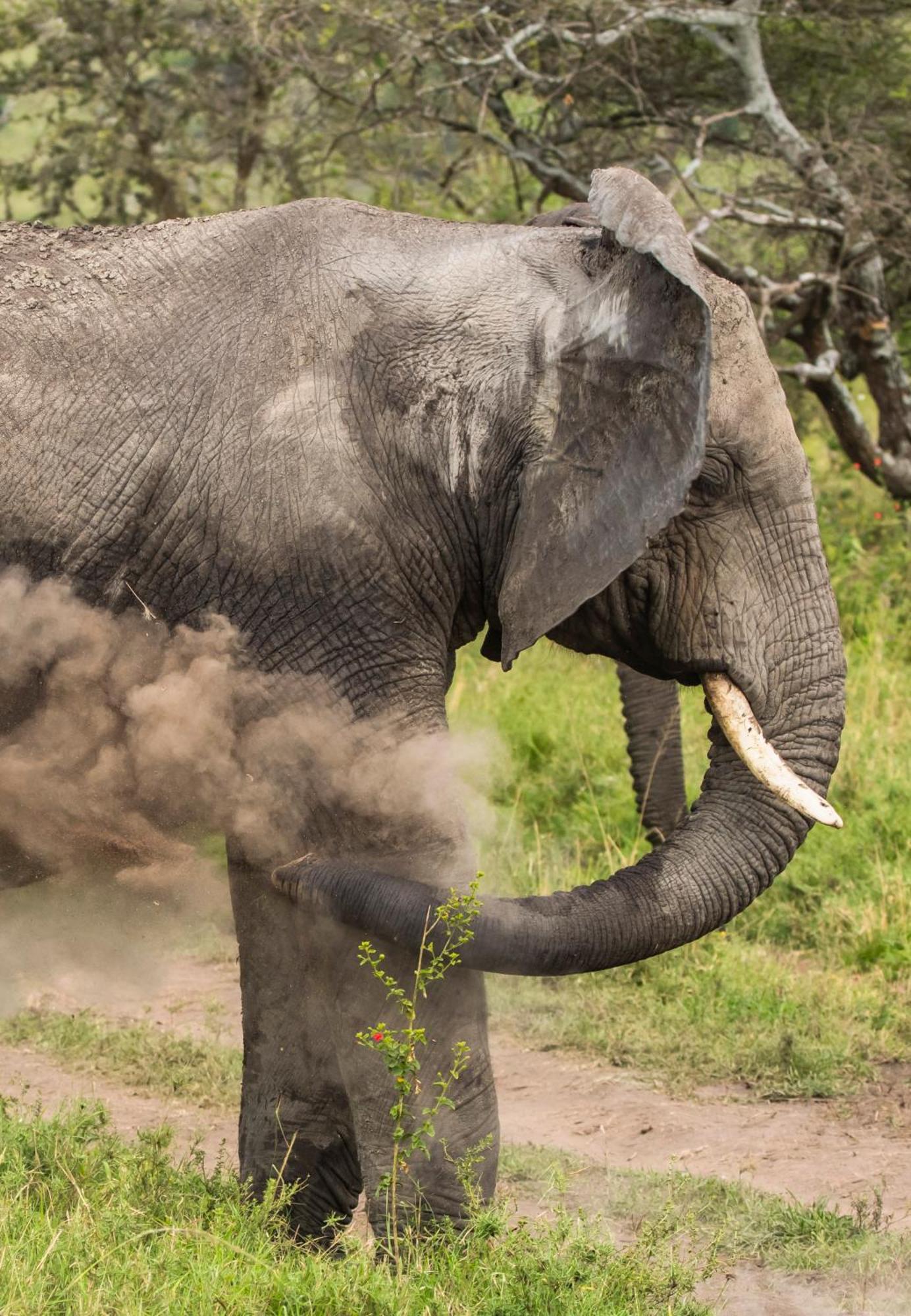 Ngorongoro Lodge Member Of Melia Collection - The Leading Hotels Of The World Buitenkant foto